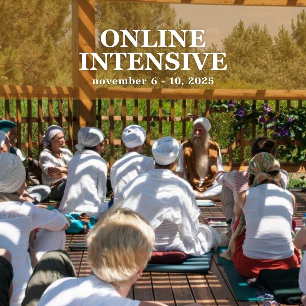 Ashram Experience online intensive